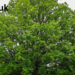 bblog.uk