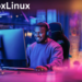 about plugboxlinux