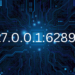 127.0.0.1:62893: