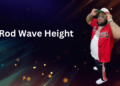 rod wave height