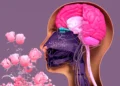 The Scented Mind Emotional Connections to Essential and Synthetic Oils in Perfumery
