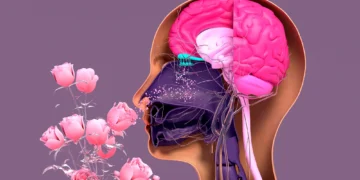 The Scented Mind Emotional Connections to Essential and Synthetic Oils in Perfumery