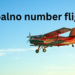zopalno number flight