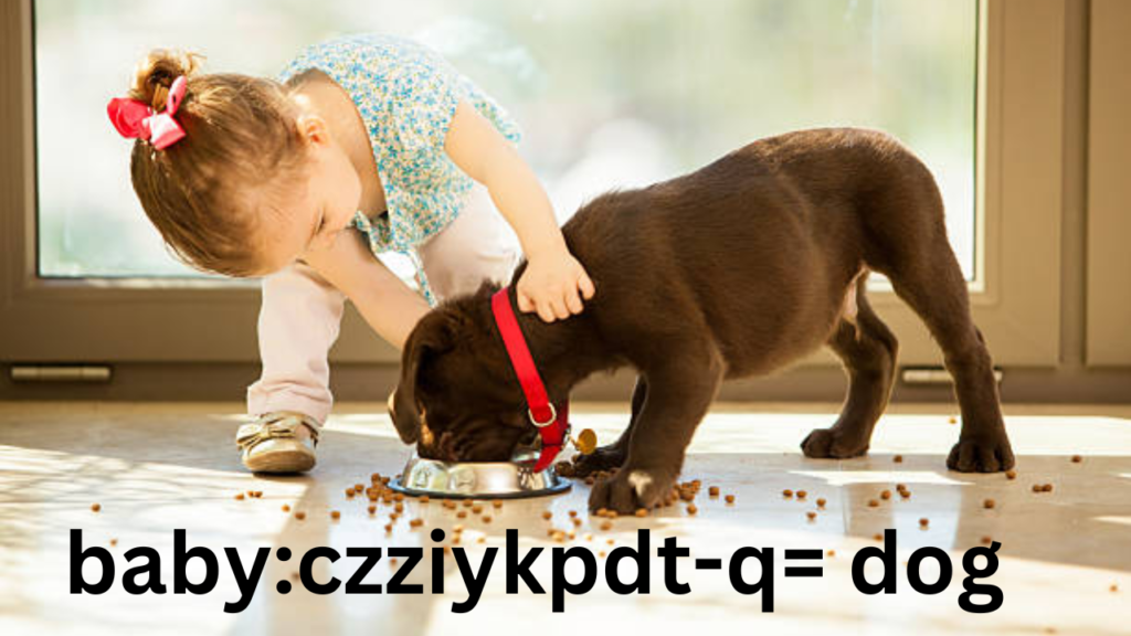 baby:czziykpdt-q= dog