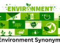 environment synonym