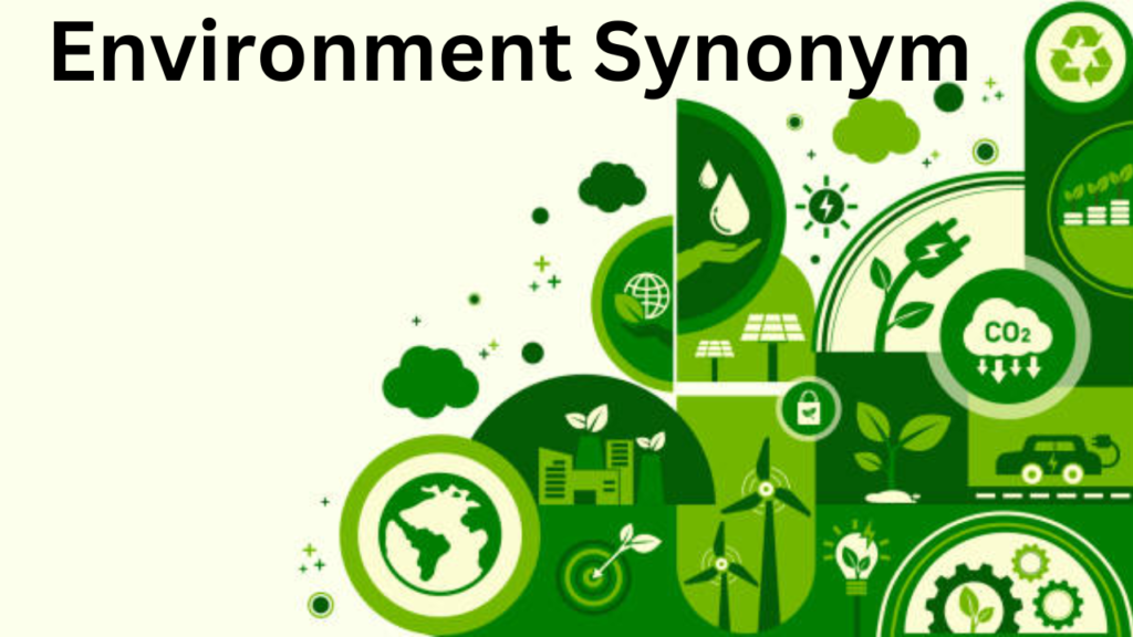 environment synonym