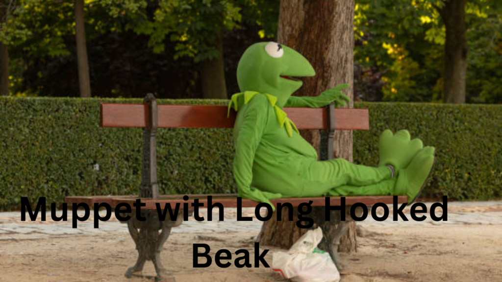 muppet with long hooked beak