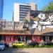 Discover Creativity at a Graffiti Workshop in Rotterdam